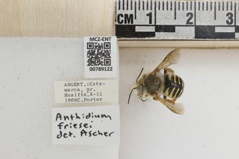 Media type: image;   Entomology 789122 Aspect: Labels